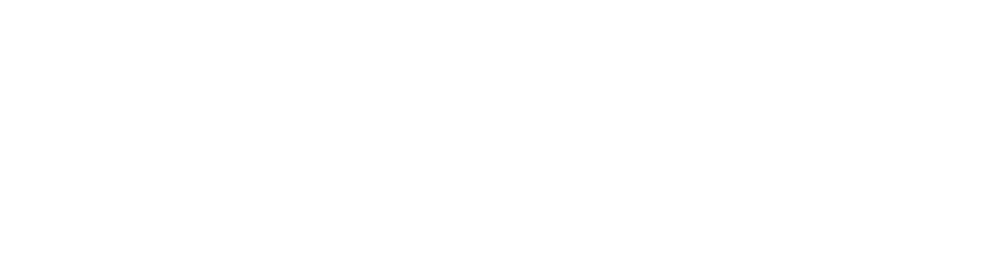 SyntheX Logo Reverse